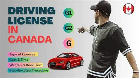 Display image for How to get driver’s license Canada